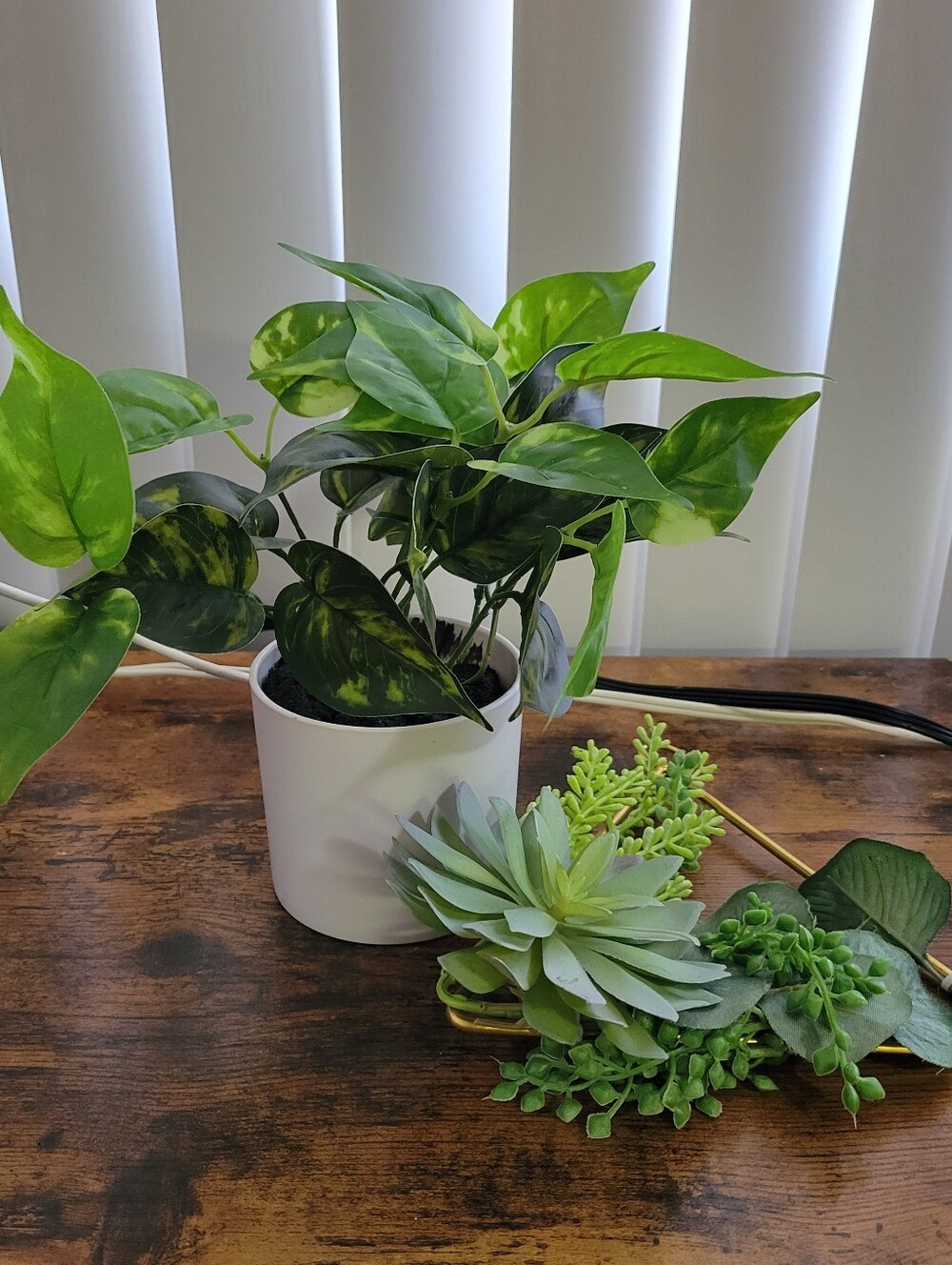 2 Plant Decor Items
